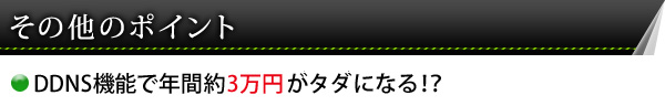IP-CPH537-P2P 無償DDNSサービス付