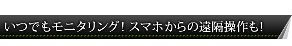 IP-CPH537-P2P いつでもモニタリング！スマホからの遠隔操作も！